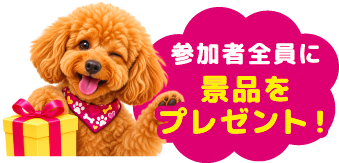 参加者全員に景品をプレゼント！
