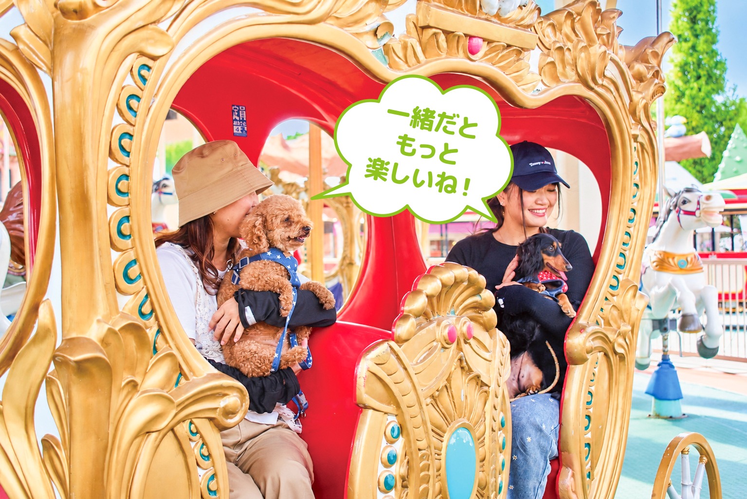 わんちゃんとアトラクションを楽しむ様子